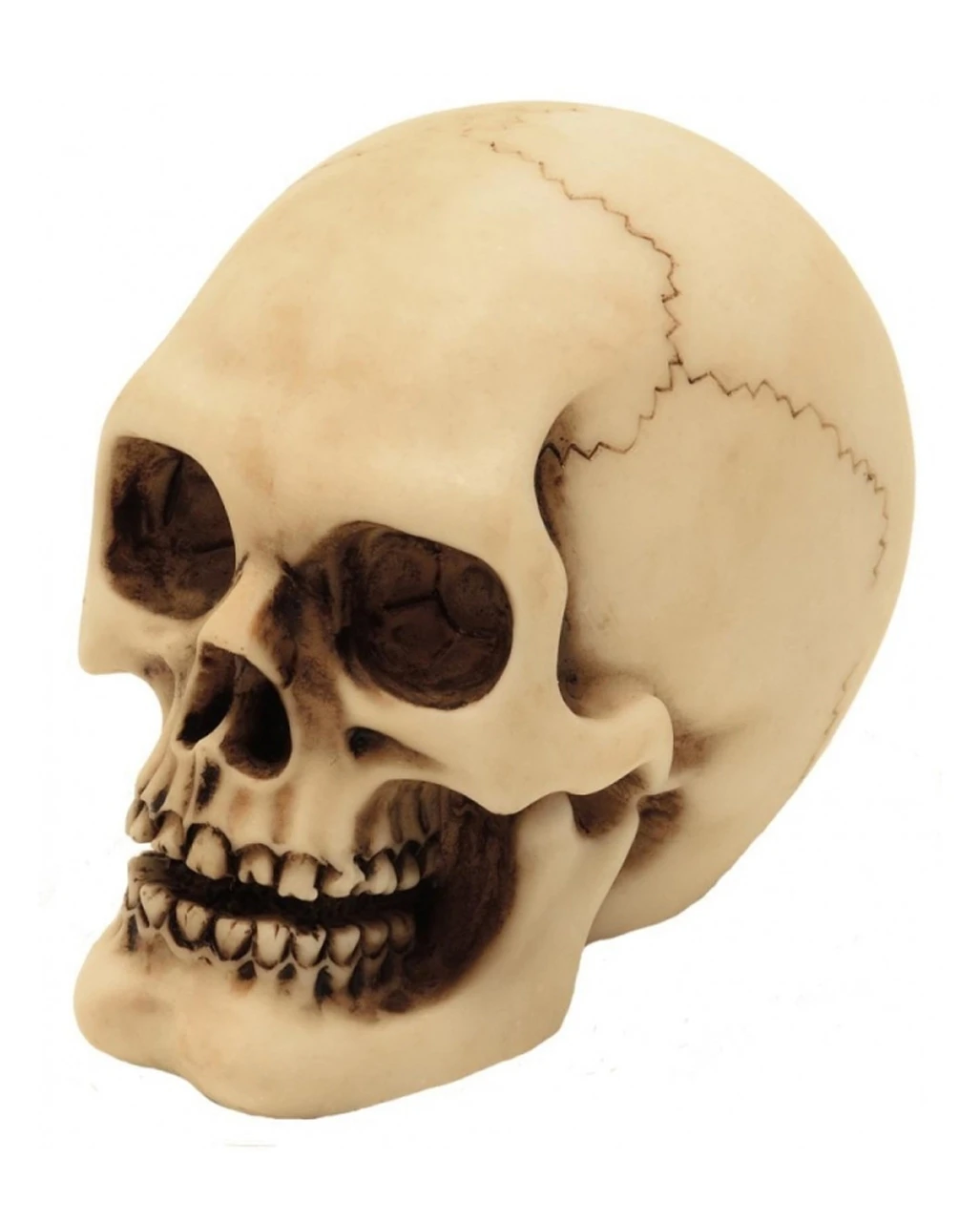 2er Set Graveyard Totenschädel Medium 1 2er Set Graveyard Totenschädel Medium