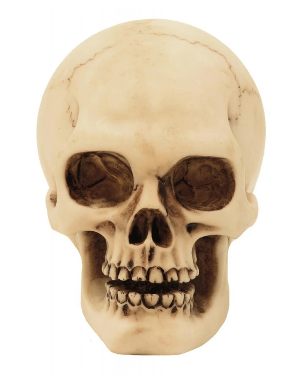 2er Set Graveyard Totenschädel Medium 2 2er Set Graveyard Totenschädel Medium – Bild 2