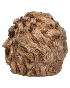 Albert Einstein Totenschädel 21cm 10 Albert Einstein Totenschädel 21cm -Halloween Serien Geschäft albert einstein totenkopf albert einstein totenschaedel albert einstein skull 54562 04