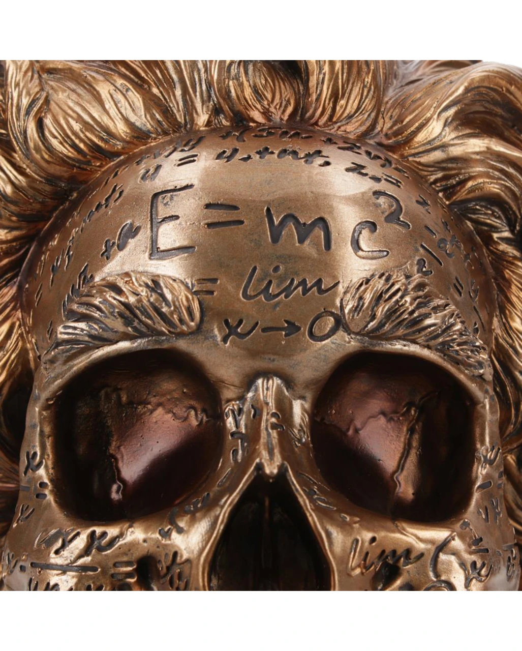 Albert Einstein Totenschädel 21cm 5 Albert Einstein Totenschädel 21cm – Bild 5