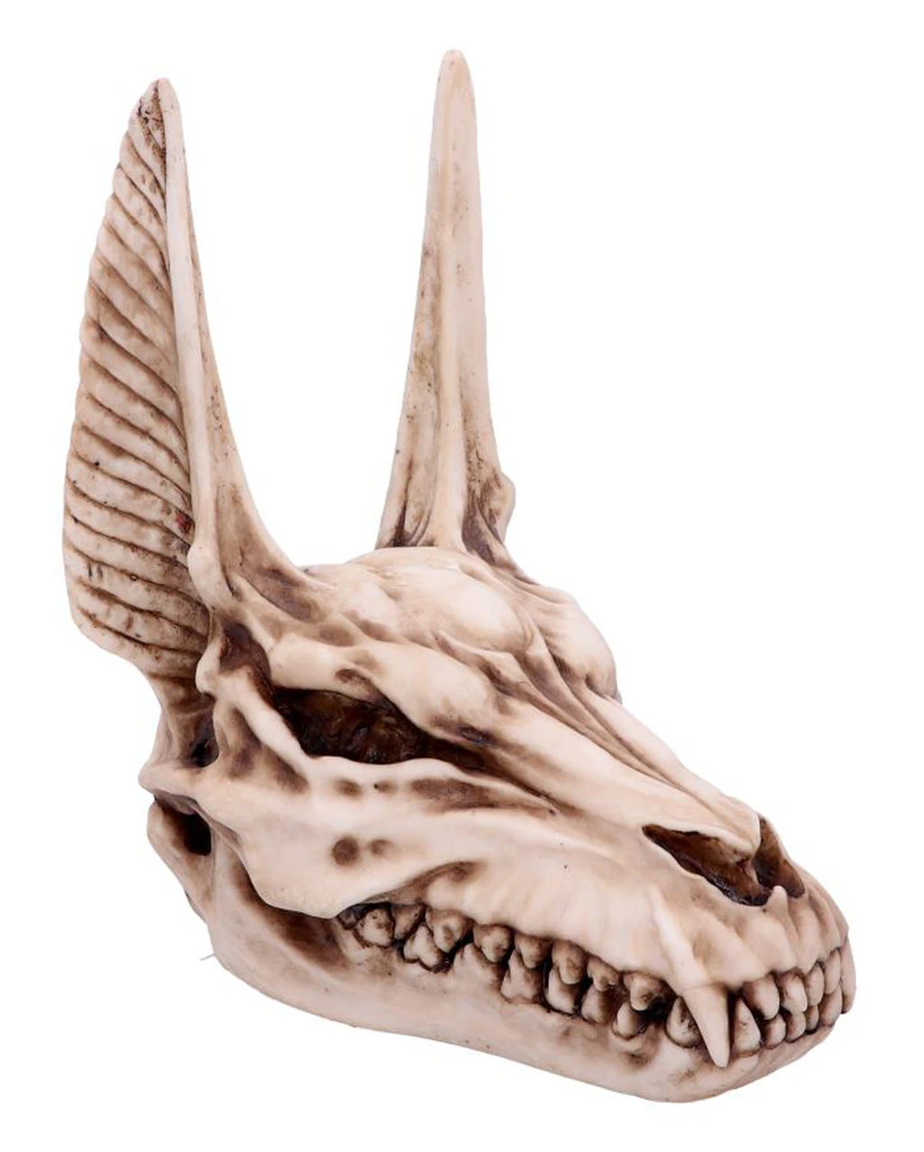 Anubis Totenschädel Figur 17cm 1 Anubis Totenschädel Figur 17cm