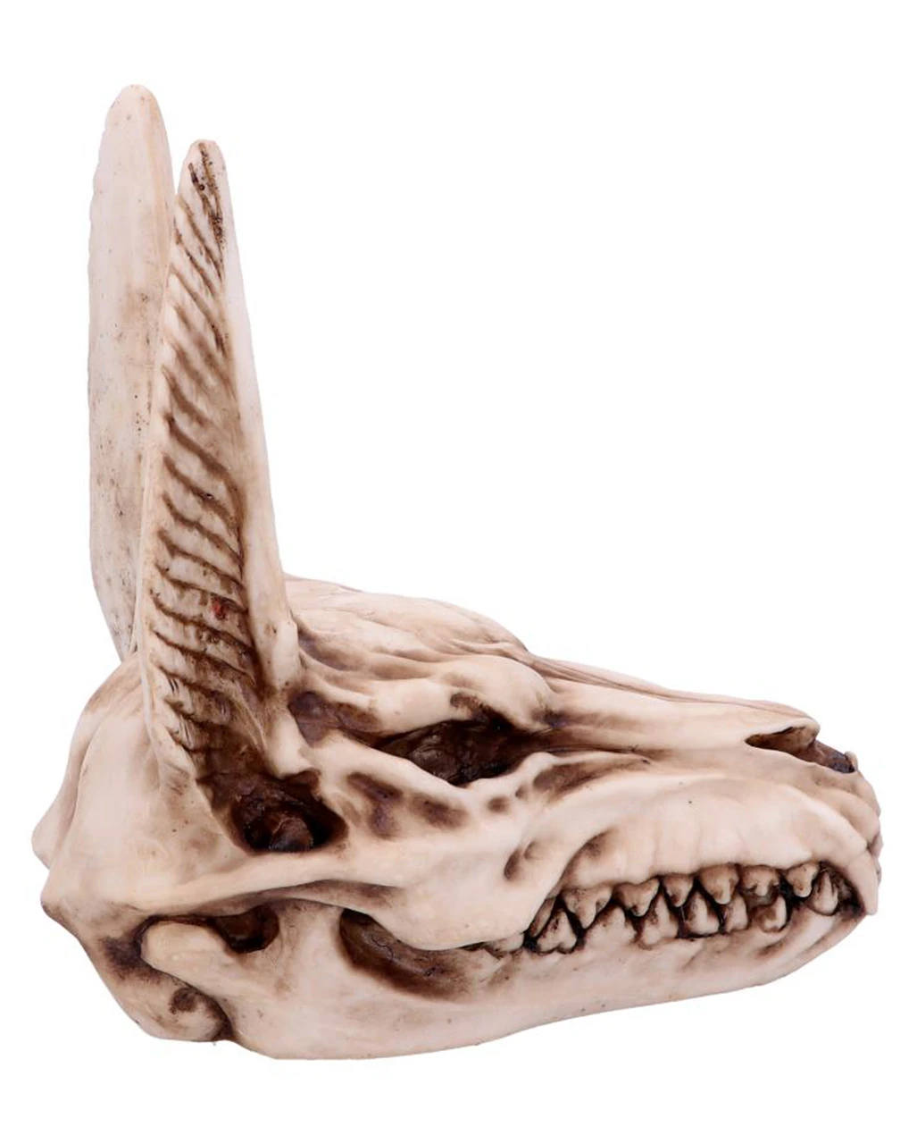 Anubis Totenschädel Figur 17cm 4 Anubis Totenschädel Figur 17cm – Bild 4