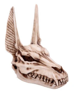 Anubis Totenschädel Figur 17cm 9 Anubis Totenschädel Figur 17cm -Halloween Serien Geschäft anubis totenkopf figur anubis totenschaedel figur anubis skull figurine 51020 05
