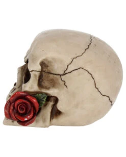 Beiger Totenschädel Mit Roter Rose 15cm 8 Beiger Totenschädel Mit Roter Rose 15cm -Halloween Serien Geschäft beiger totenkopf mit roter rose beiger totenschaedel mit roter rose antic skull with red rose 53389 03