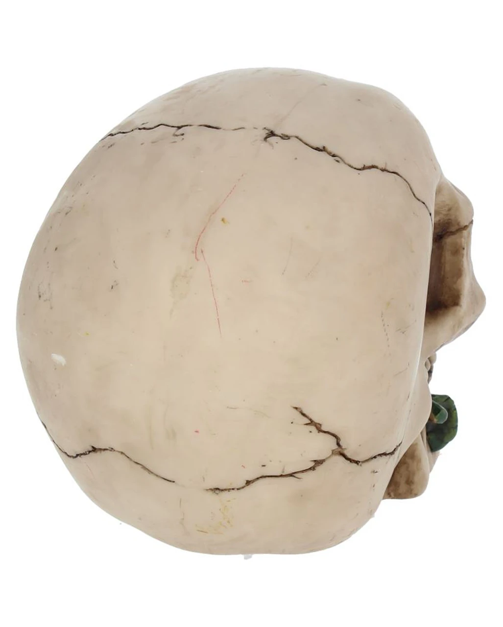 Beiger Totenschädel Mit Roter Rose 15cm 5 Beiger Totenschädel Mit Roter Rose 15cm – Bild 5