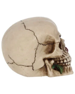 Beiger Totenschädel Mit Roter Rose 15cm 11 Beiger Totenschädel Mit Roter Rose 15cm -Halloween Serien Geschäft beiger totenkopf mit roter rose beiger totenschaedel mit roter rose antic skull with red rose 53389 06
