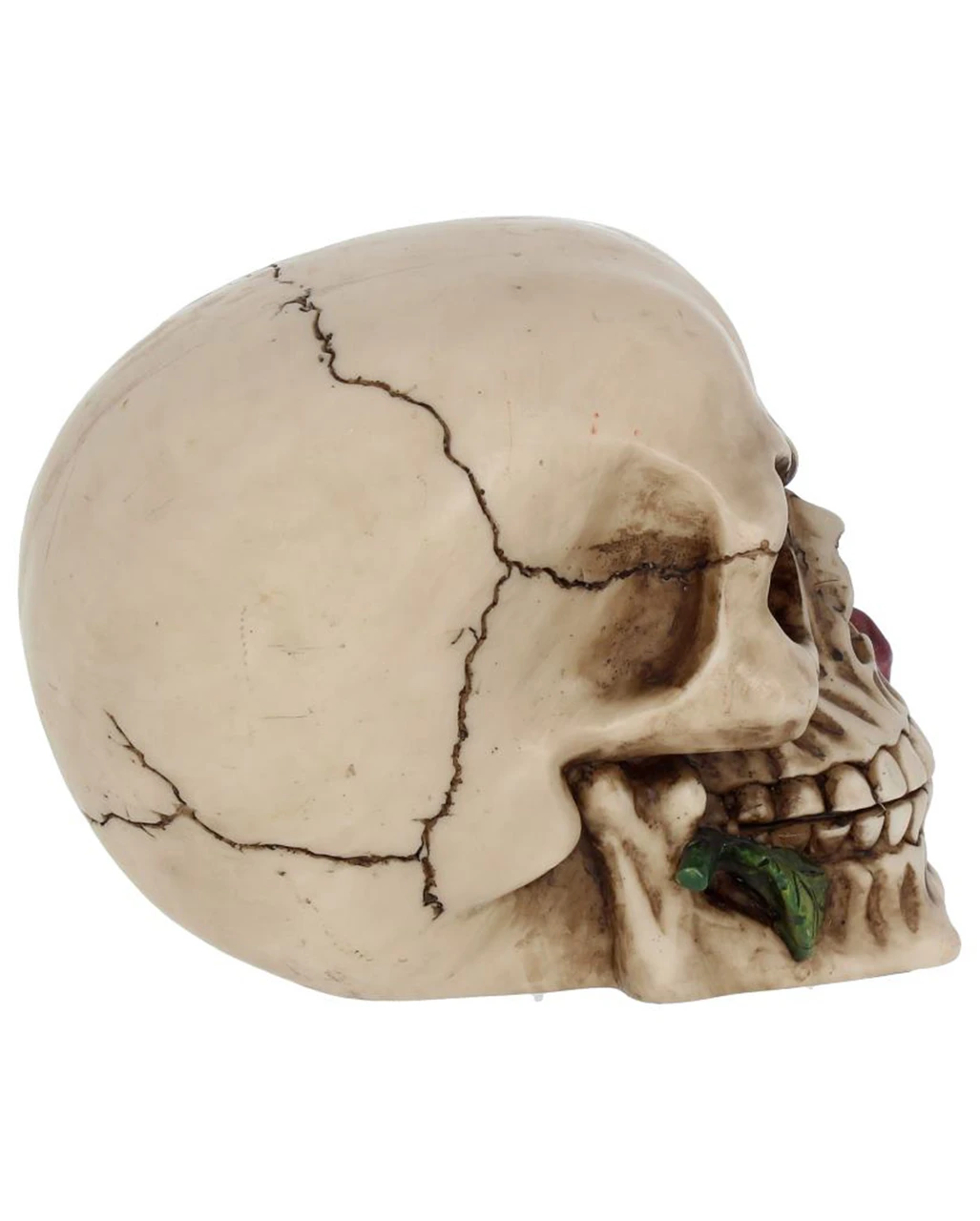 Beiger Totenschädel Mit Roter Rose 15cm 6 Beiger Totenschädel Mit Roter Rose 15cm – Bild 6