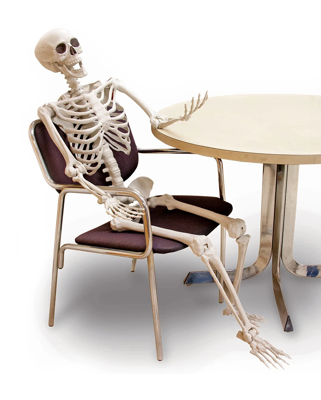 Biegsames Skelett 160cm 1 Biegsames Skelett 160cm