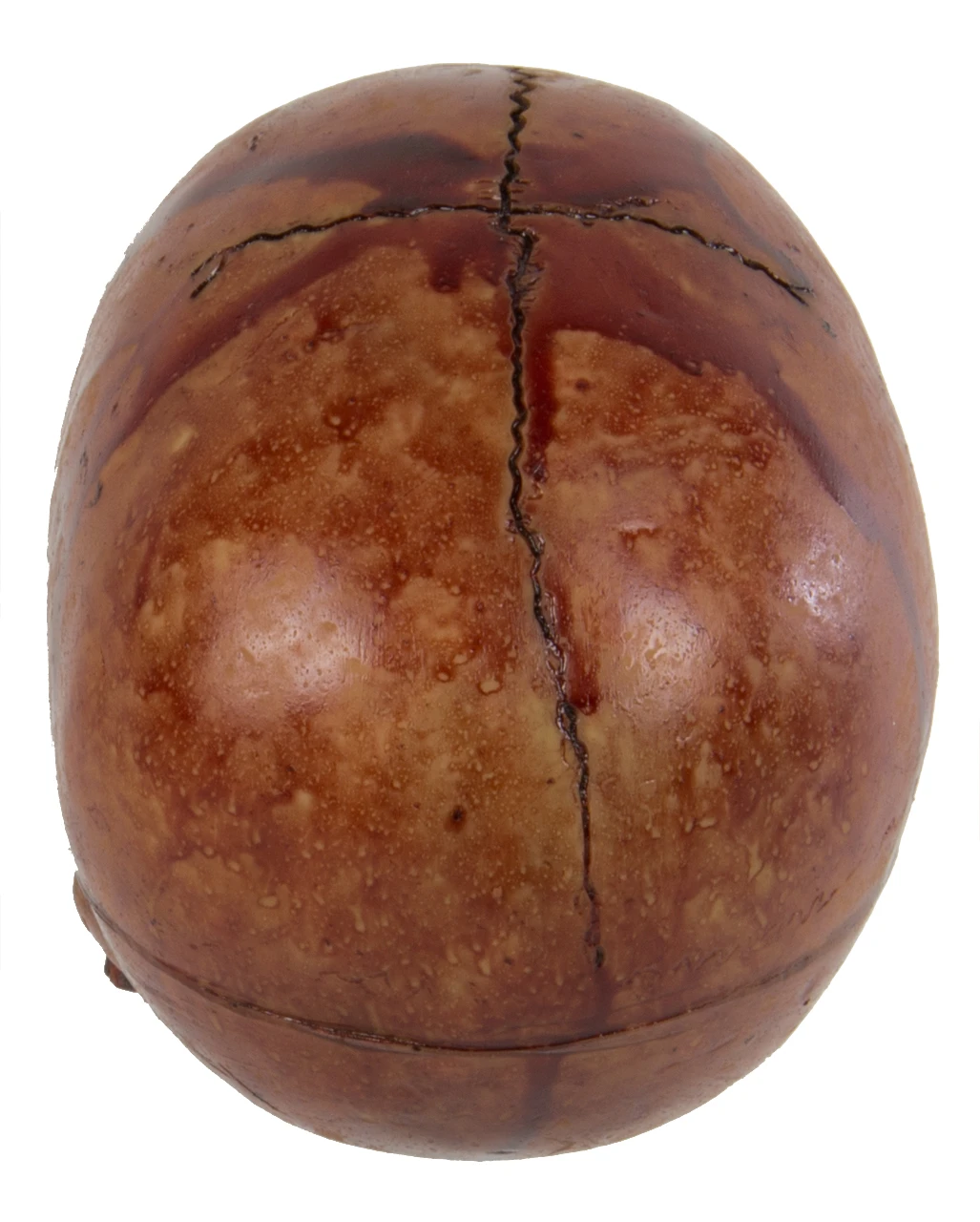 Blutiger Skull Mit Beweglichem Kiefer 3 Blutiger Skull Mit Beweglichem Kiefer – Bild 3