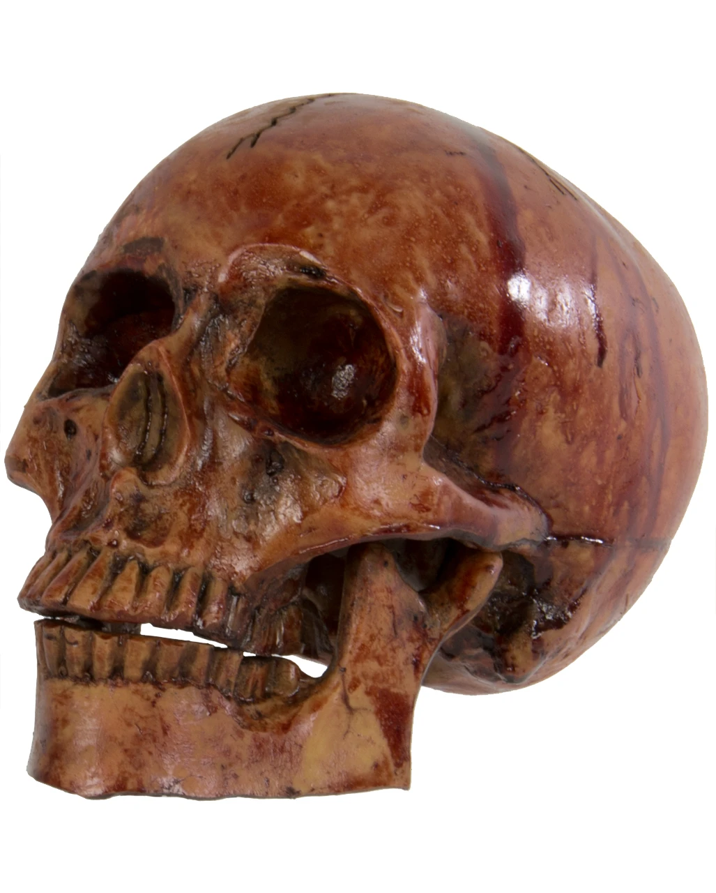 Blutiger Skull Mit Beweglichem Kiefer 1 Blutiger Skull Mit Beweglichem Kiefer