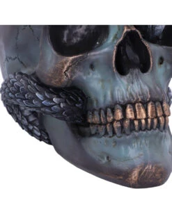 Schuppige Schlange In Totenkopf 19cm 11 Schuppige Schlange In Totenkopf 19cm -Halloween Serien Geschäft das schicksal der schlange gothic schaedel 19cm serpentine fate gothic snake skull gothic deko totenkopf 53993 6
