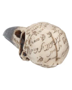 Edgar´s Raben Totenschädel 7 Edgar´s Raben Totenschädel -Halloween Serien Geschäft edgars raben skelettschaedel edgars raben totenschaedel edgars raven skull 39198 04