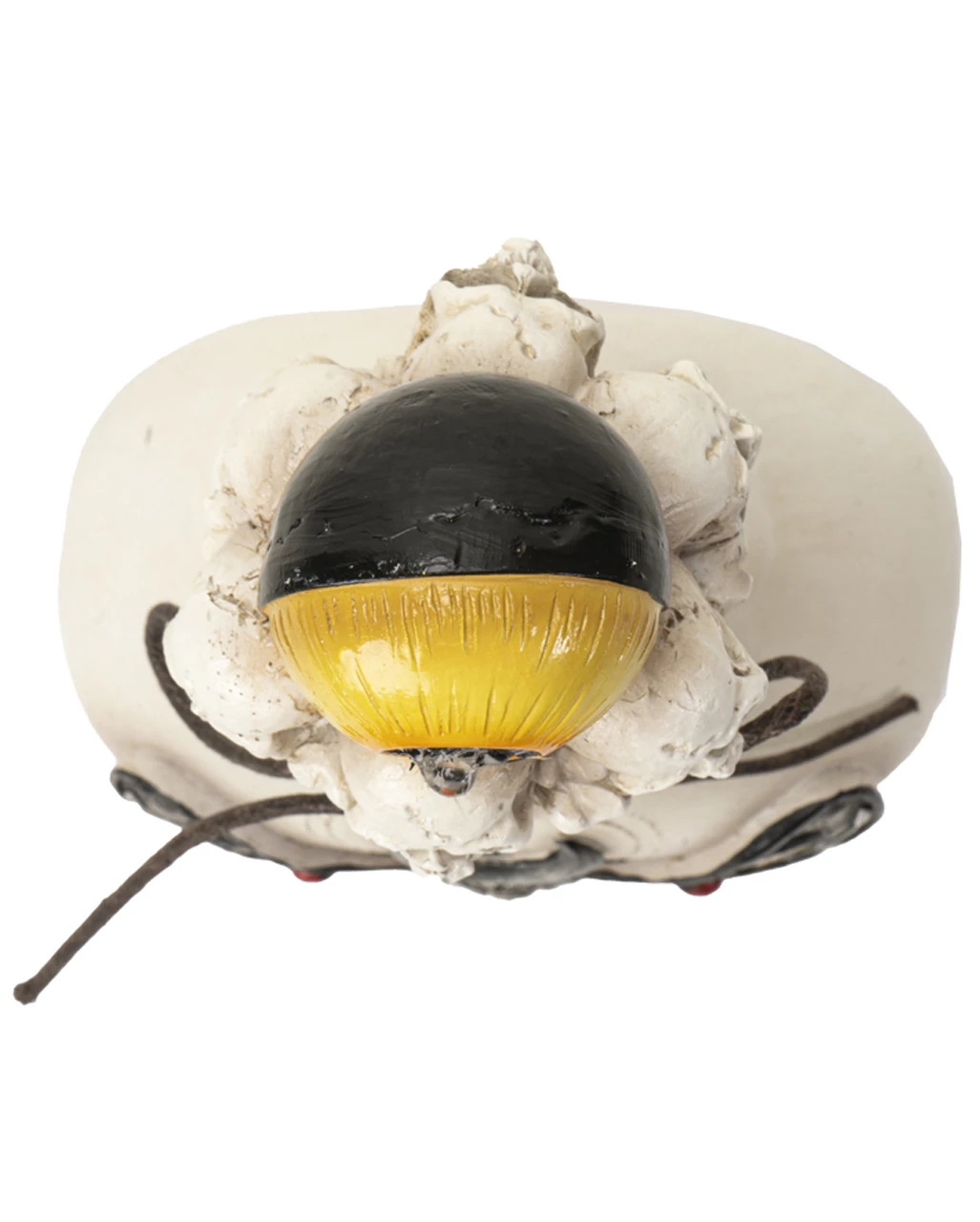 Giftflasche Mit Totenkopf Motte & Auge 25cm 3 Giftflasche Mit Totenkopf Motte & Auge 25cm – Bild 3