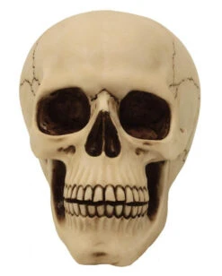 Graveyard Totenschädel Large 5 Graveyard Totenschädel Large -Halloween Serien Geschäft graveyard totenkopf large graveyard totenschaedel graveyard skull large gothic deko 52351 02