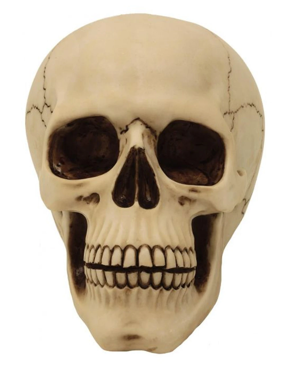 Graveyard Totenschädel Large 3 Graveyard Totenschädel Large – Bild 3