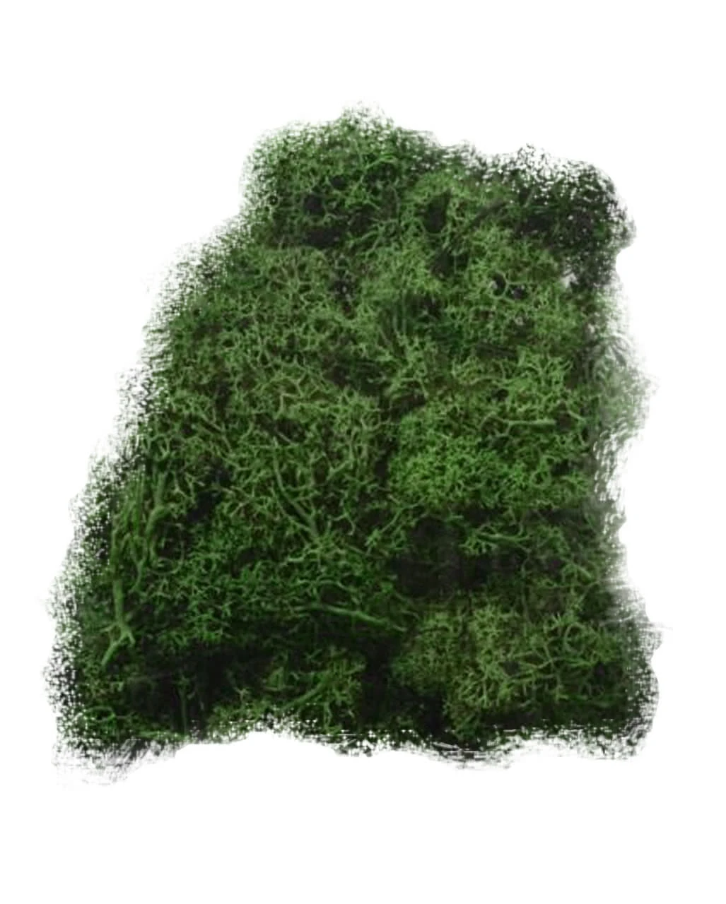 Halloween Deko Moos 50 G 1 Halloween Deko Moos 50 G