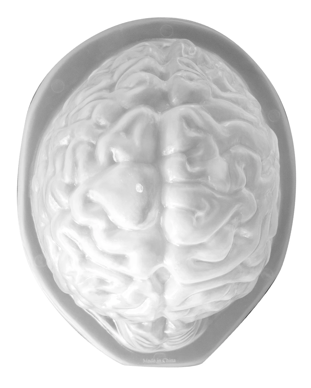 Halloween Puddingform Gehirn 2 Halloween Puddingform Gehirn – Bild 2