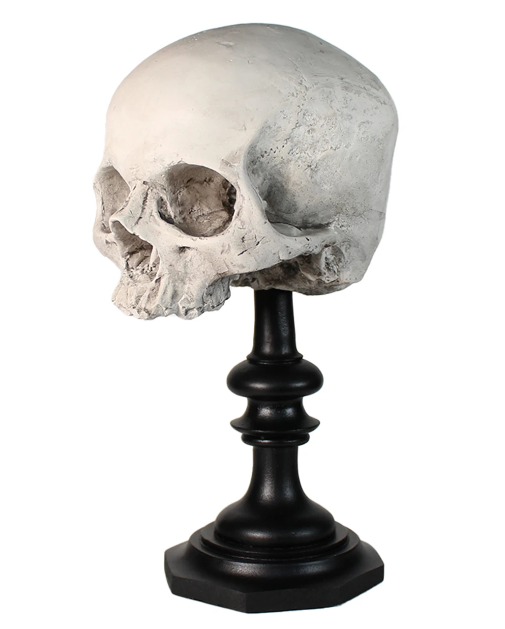 J. DOE Totenschädel Auf Sockel 20cm 2 J. DOE Totenschädel Auf Sockel 20cm – Bild 2