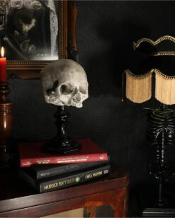 J. DOE Totenschädel Auf Sockel 20cm 9 J. DOE Totenschädel Auf Sockel 20cm -Halloween Serien Geschäft j doe totenkopf auf sockel j doe totenschaedel auf sockel j doe skull plinth gothic homware 54857 05