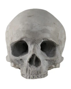 J. DOE Totenschädel 17cm 5 J. DOE Totenschädel 17cm -Halloween Serien Geschäft j doe totenkopf j doe totenschaedel ghotic totenkopf gothic wohnaccessoire gothic homware 54856 03
