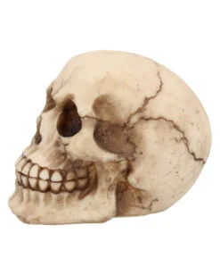 Kleiner Grinsender Totenkopf 12cm 11 Kleiner Grinsender Totenkopf 12cm -Halloween Serien Geschäft kleiner grinsender totenschaedel small joker skull totenkopf dekoration gothic deko 50730 03