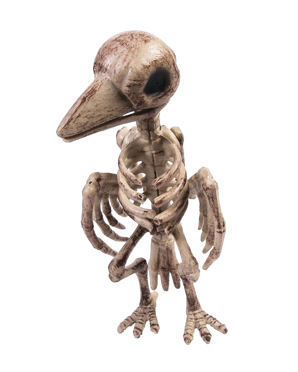 Raben Skelett Mit Knochengerippe 1 Raben Skelett Mit Knochengerippe