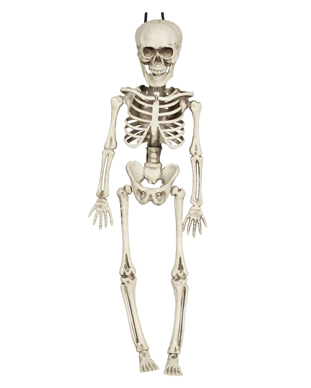 Hängefigur Mini Skelett 40cm 1 Hängefigur Mini Skelett 40cm