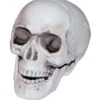 Mini Totenkopf Mit Beweglichem Kiefer