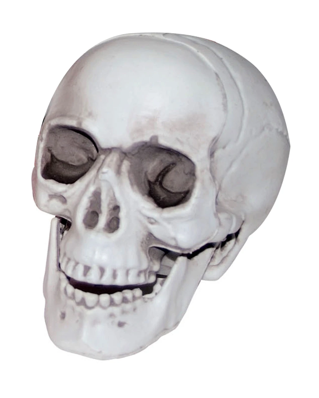 Mini Totenkopf Mit Beweglichem Kiefer 1 Mini Totenkopf Mit Beweglichem Kiefer