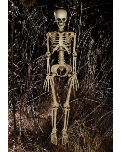 Bewegliches Knochenskelett 90cm 5 Bewegliches Knochenskelett 90cm -Halloween Serien Geschäft positionierbares knochenskelett halloween deko skelett mit beweglichen gelenken halloween und horror deko 52003 2