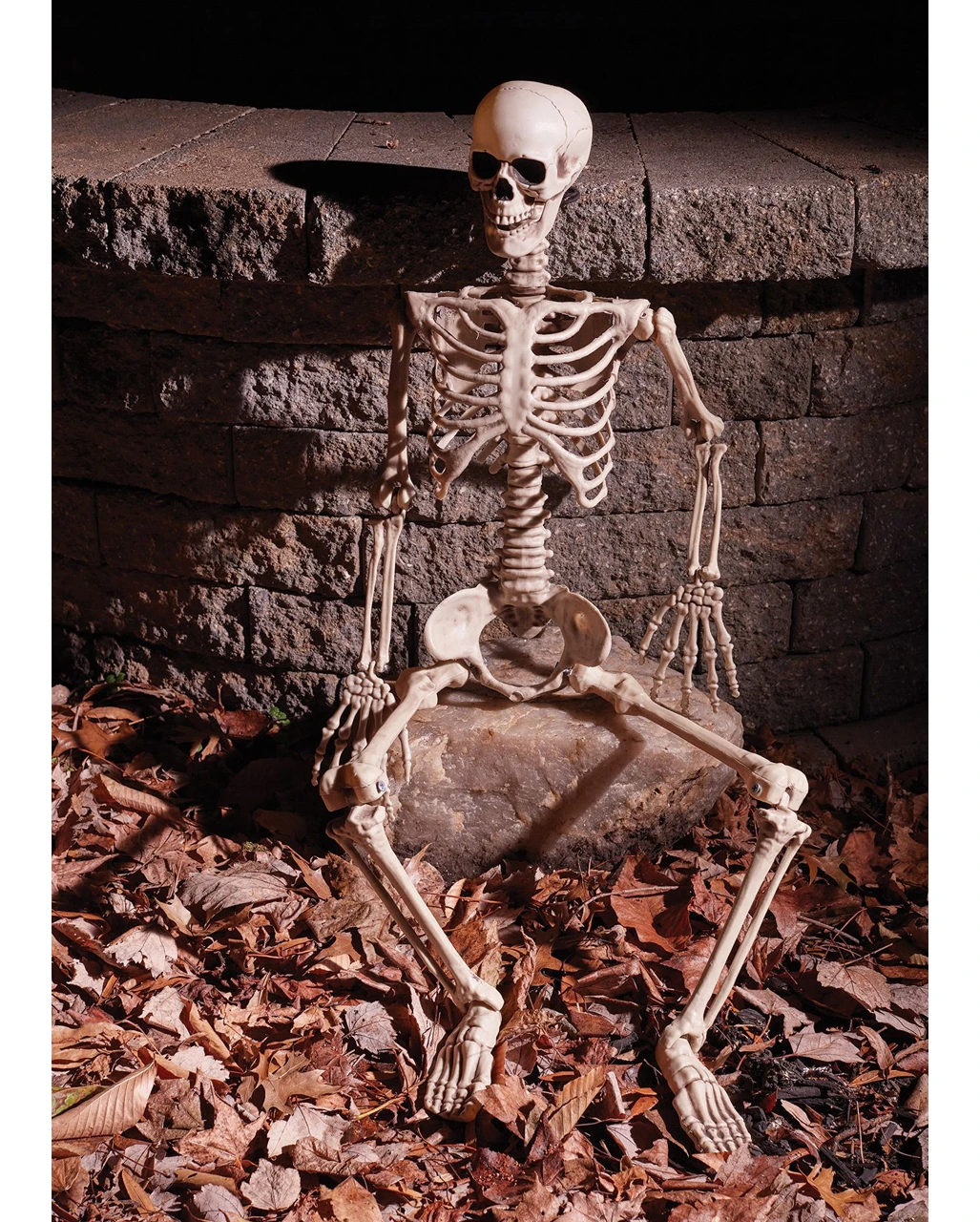 Bewegliches Knochenskelett 90cm 2 Bewegliches Knochenskelett 90cm – Bild 2