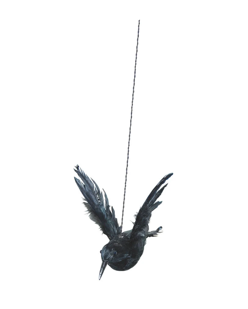 Fliegender Rabe Zum Aufhängen 1 Fliegender Rabe Zum Aufhängen
