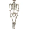 Lebensgroßes Skelett 200 Cm
