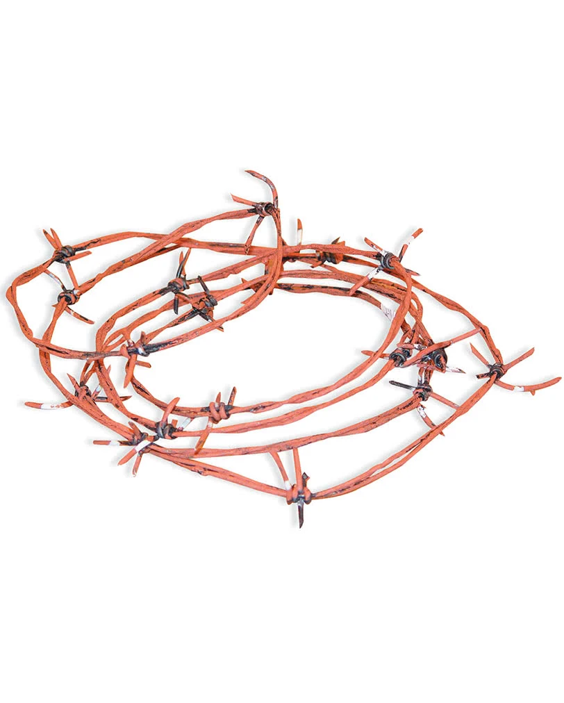 Rostiger Stacheldraht 30m 1 Rostiger Stacheldraht 30m