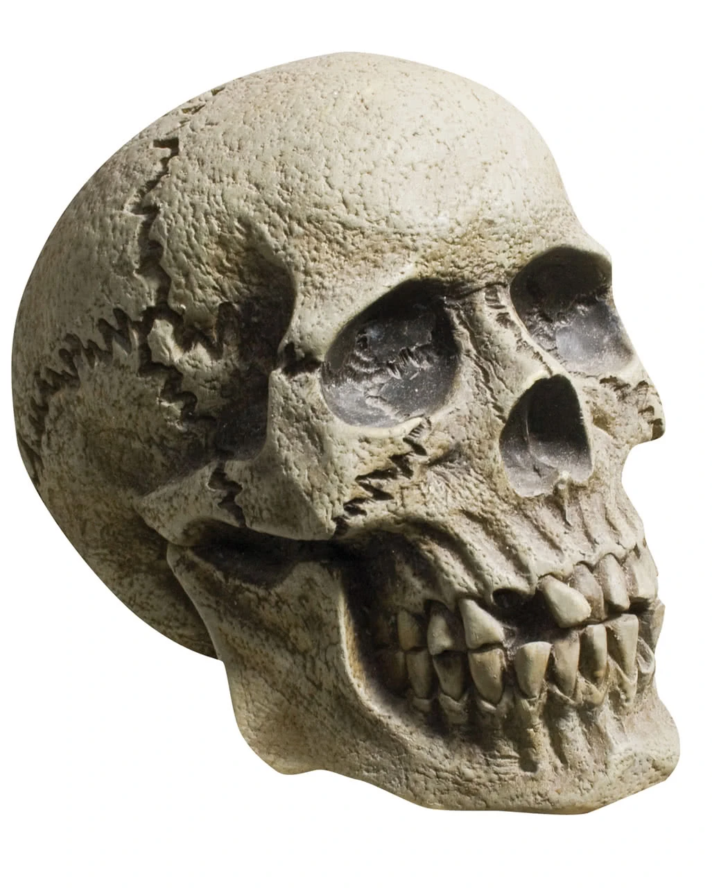 Verwitterter Skull Totenkopf 1 Verwitterter Skull Totenkopf