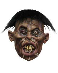 Schrumpfkopf Mongole