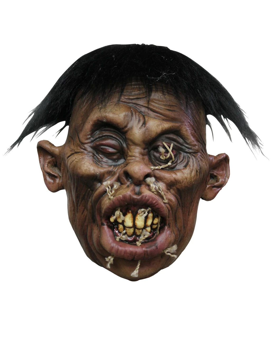 Schrumpfkopf Mongole 1 Schrumpfkopf Mongole