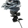Schwarz/Graue Rose Mit Auge