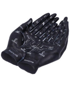 Schwarze Chiromantie-Hände Teelichthalter 11 Schwarze Chiromantie-Hände Teelichthalter -Halloween Serien Geschäft schwarze handlese haende kerzenhalter schwarze chiromantie haende teelichthalter 51059 05