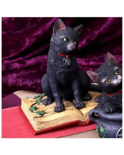 Schwarze Hexenkatze Mit Pentagramm 9 Schwarze Hexenkatze Mit Pentagramm -Halloween Serien Geschäft schwarze katze mit hexenbuch schwarze hexenkatze mit pentagramm witch cat eclipse 39250 05