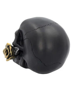 Schwarzer Totenschädel Mit Goldener Rose 15cm 9 Schwarzer Totenschädel Mit Goldener Rose 15cm -Halloween Serien Geschäft schwarzer totenkopf mit goldener rose black skull with golden rose gothic deko gothic totenkopf 54621 04