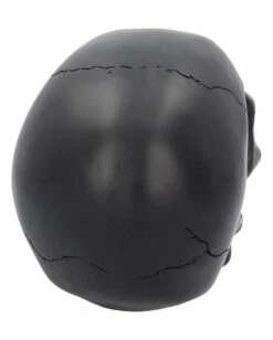 Schwarzer Totenschädel Mit Goldener Rose 15cm 10 Schwarzer Totenschädel Mit Goldener Rose 15cm -Halloween Serien Geschäft schwarzer totenkopf mit goldener rose black skull with golden rose gothic deko gothic totenkopf 54621 05