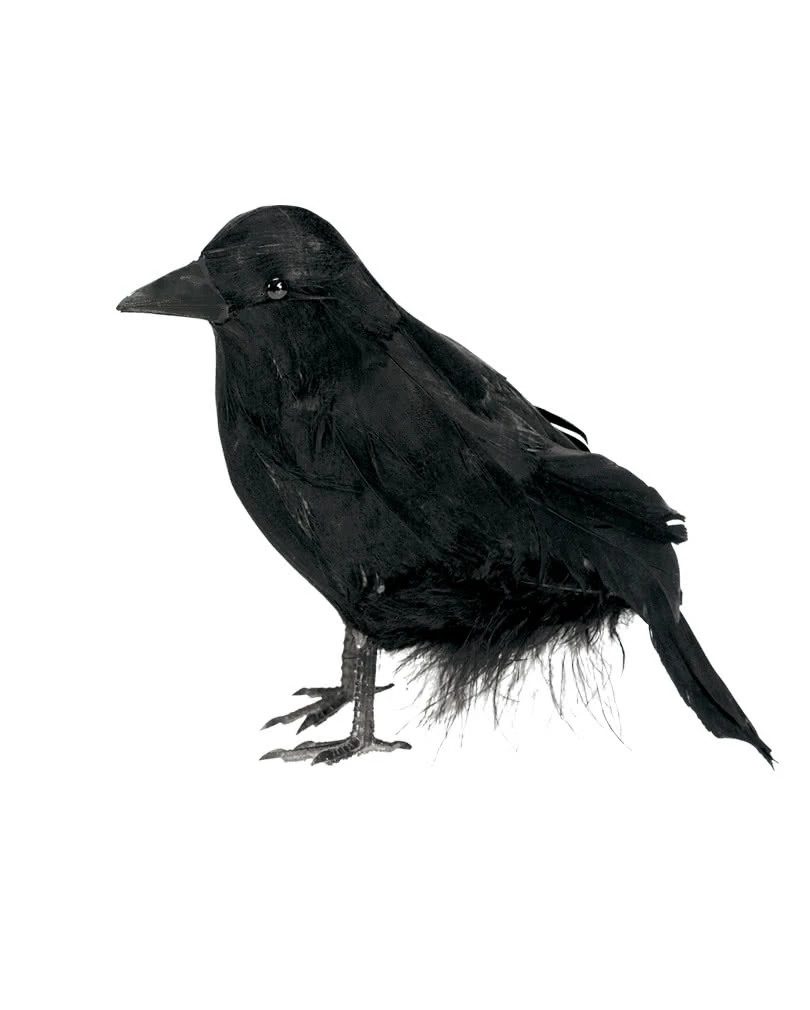 Schwarzer Rabe 15 Cm 1 Schwarzer Rabe 15 Cm