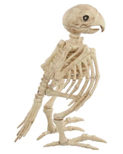 Papagei Skelett 19cm 6 Papagei Skelett 19cm -Halloween Serien Geschäft skelett papagei skeleton parrot halloween dekoration 52638 03