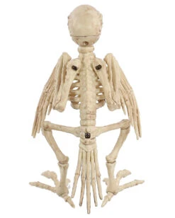 Papagei Skelett 19cm 7 Papagei Skelett 19cm -Halloween Serien Geschäft skelett papagei skeleton parrot halloween dekoration 52638 04