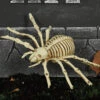 Spinnen Skelett 24cm