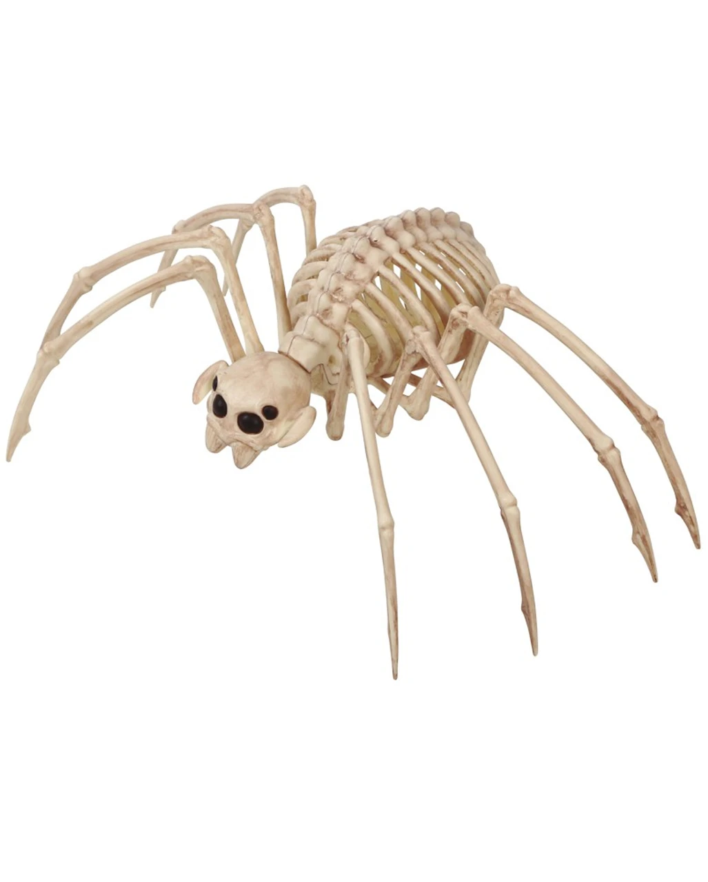 Tarantel Skelettfigur Spinne 20x35cm 1 Tarantel Skelettfigur Spinne 20x35cm