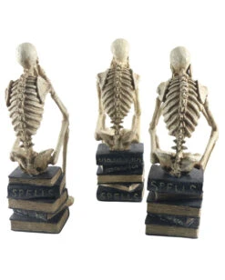 Skelette Auf Bücher Sitzend 3 Stück Als Set 35cm 5 Skelette Auf Bücher Sitzend 3 Stück Als Set 35cm -Halloween Serien Geschäft skelette auf buecher sitzend skeleton sitting on books skelett deko 54789 03