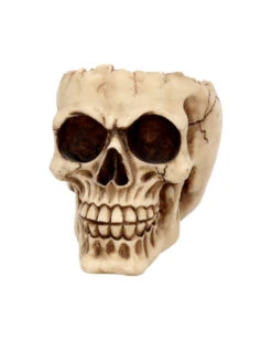 Realistische Totenschädel Schale Mit Offener Schädeldecke 8 Realistische Totenschädel Schale Mit Offener Schädeldecke -Halloween Serien Geschäft totenschaedel schale mit offener schaedeldecke realistic skull mug morbide gothic deko halloween deko totenschaedel 39289 3