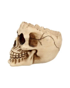 Realistische Totenschädel Schale Mit Offener Schädeldecke 10 Realistische Totenschädel Schale Mit Offener Schädeldecke -Halloween Serien Geschäft totenschaedel schale mit offener schaedeldecke realistic skull mug morbide gothic deko halloween deko totenschaedel 39289 4